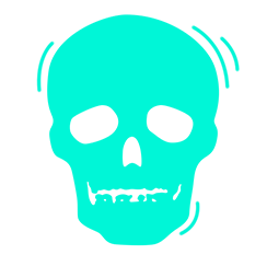 skull